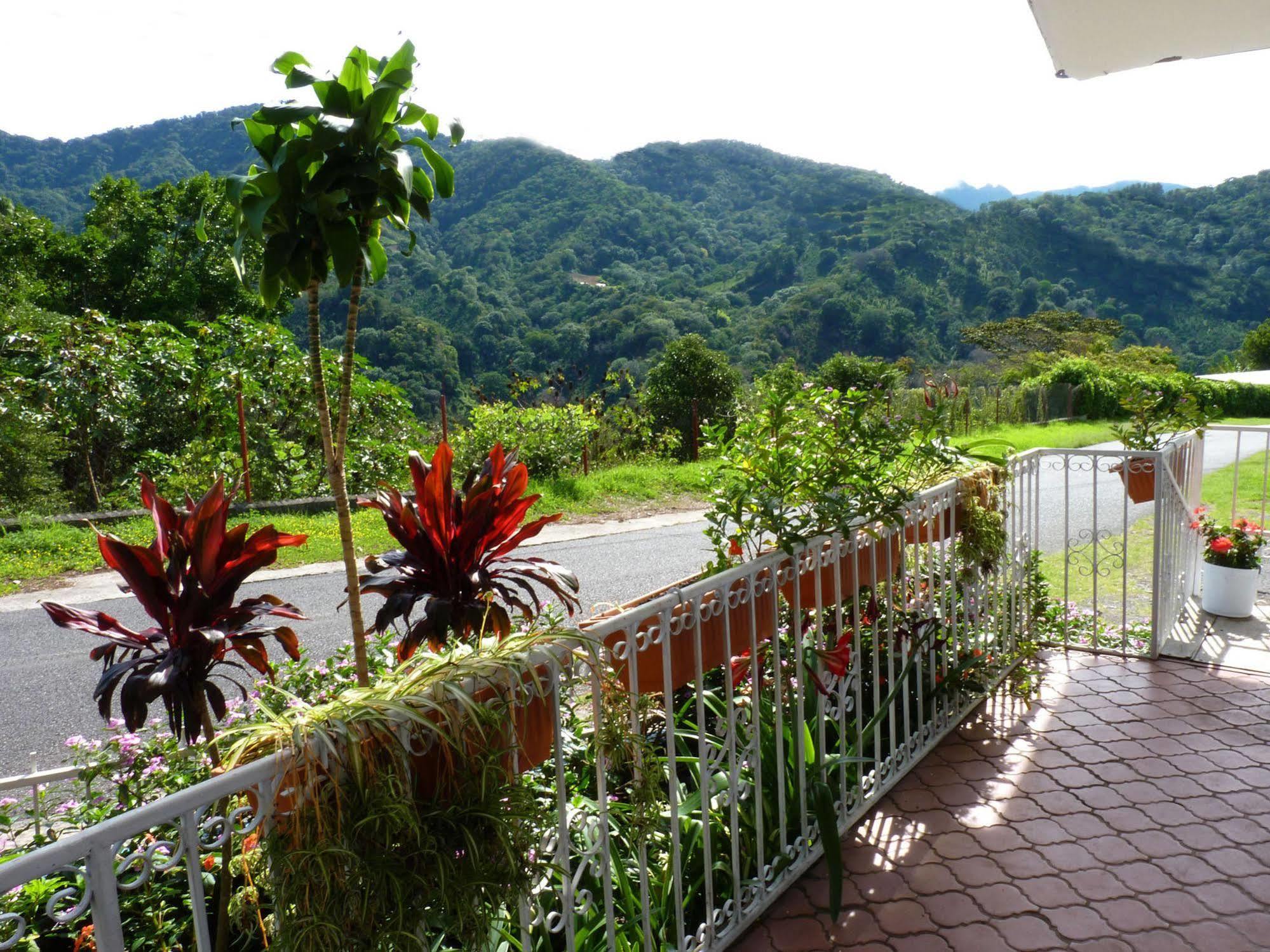 Autana Bed & Breakfast Boquete Exterior photo