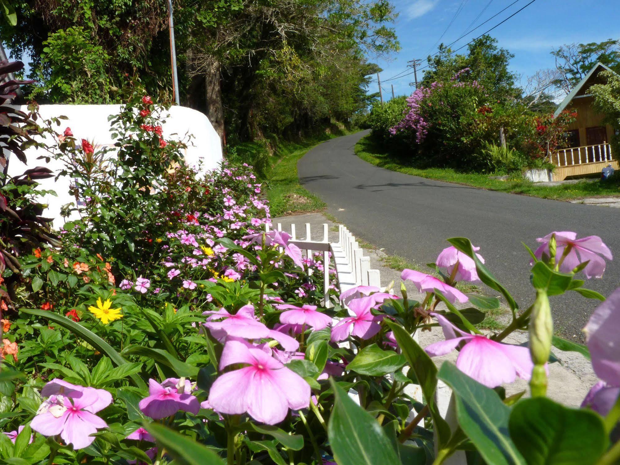 Autana Bed & Breakfast Boquete Exterior photo